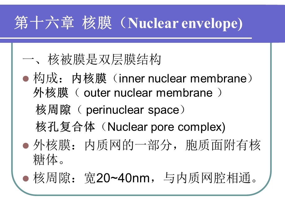 细胞核与染色质2PPT文档资料.ppt_第3页