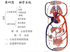 心脏解剖3名师编辑PPT课件.ppt