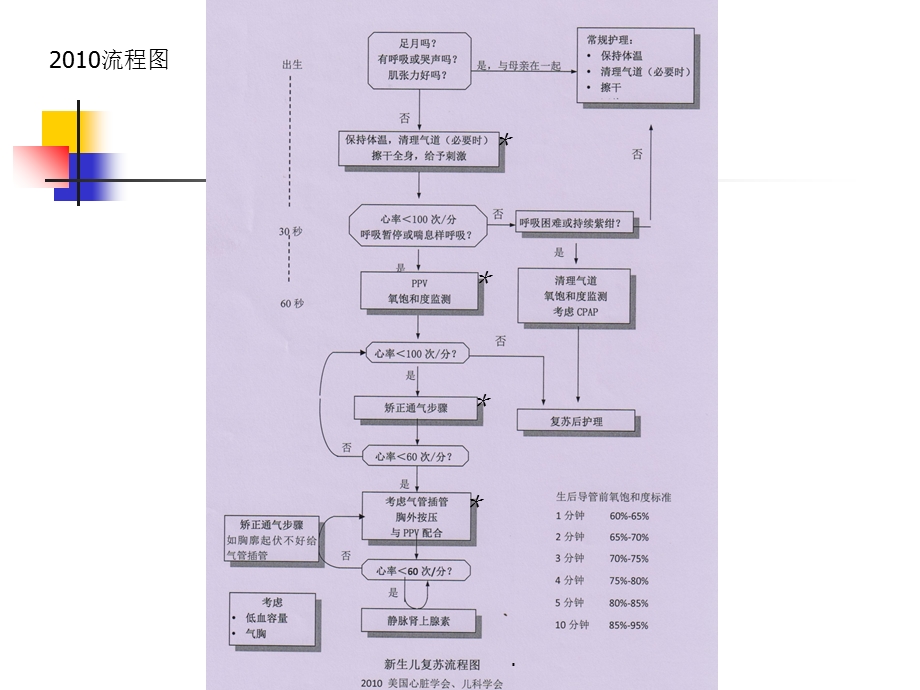 新生儿复苏操作培训PPT演示课件精选文档.ppt_第1页