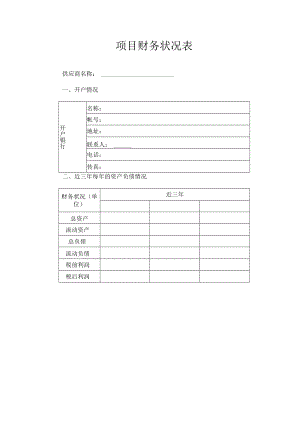 项目财务状况表.docx