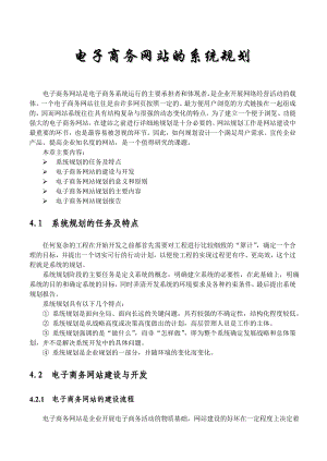 [计算机]电子商务网站系统规划.doc