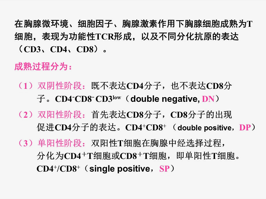 10T淋巴细胞文档资料.ppt_第3页