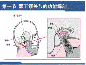 口腔科学第十一章颞下颌关节常见病PPT文档.ppt