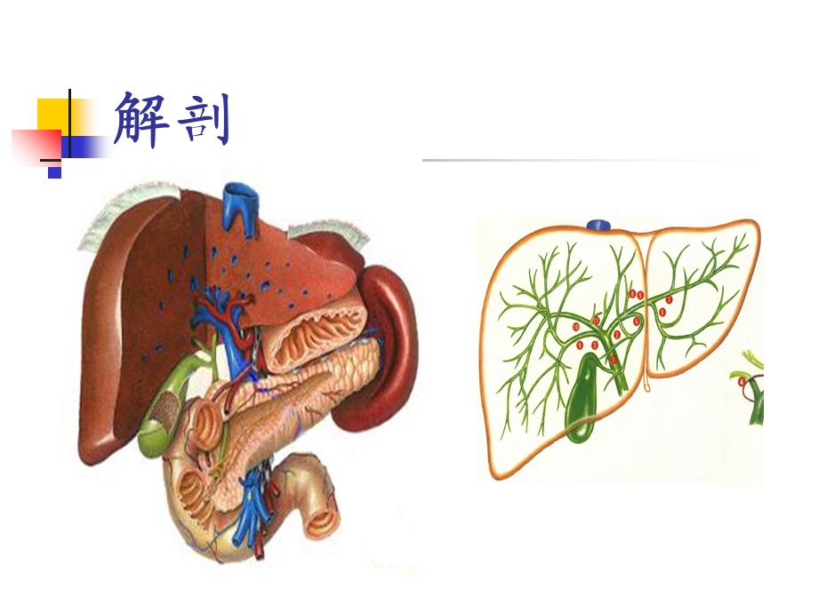 胆道疾病本PPT文档资料.ppt_第2页