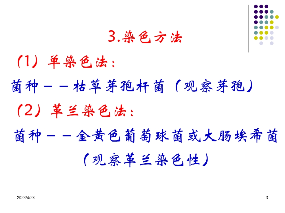 实训三细菌染色法文档资料.ppt_第3页