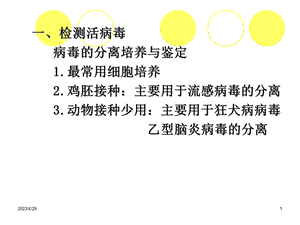 医学微生物实验 7年病毒感染检查qhuaPPT文档.ppt