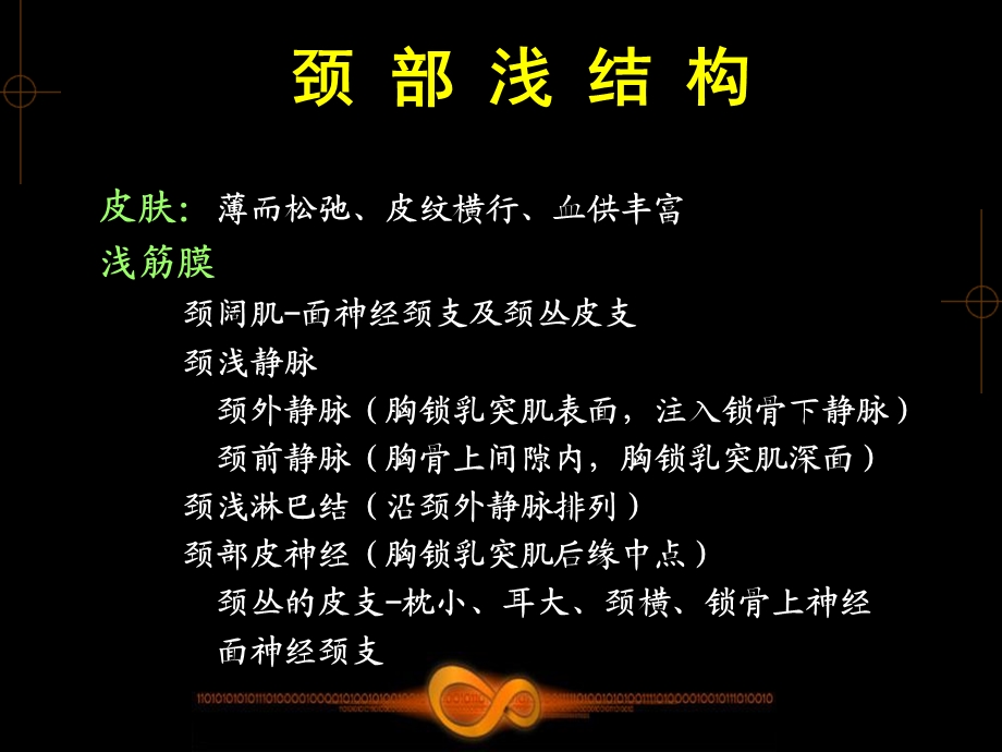 15颈部浅结构、颈前区PPT文档资料.ppt_第1页