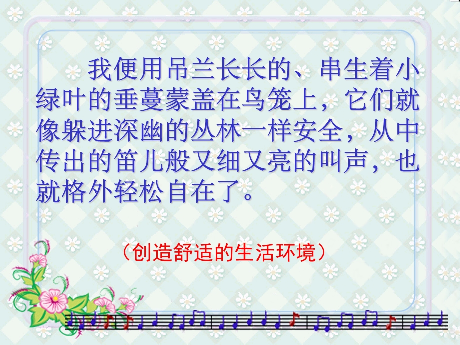 珍珠鸟课件.ppt .ppt_第3页