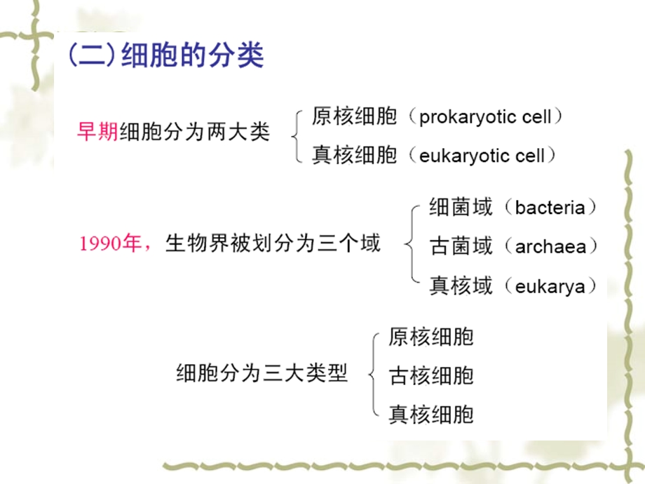 03第三章临床细胞的概念与分子基础文档资料.ppt_第2页