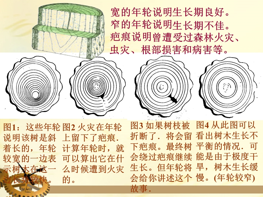 五年级语文上册大自然的语言6（2）课件语文S版.ppt_第3页