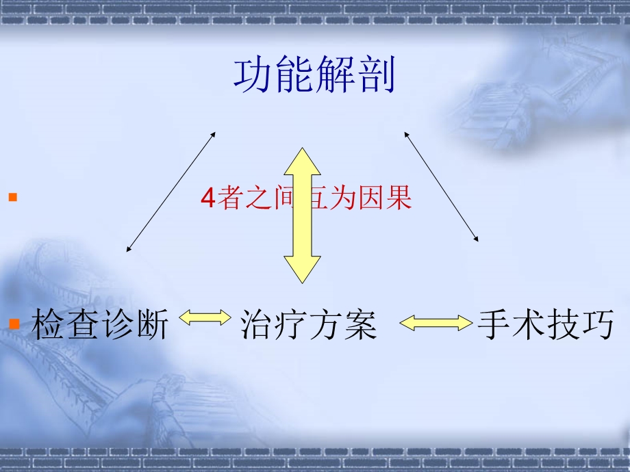 手的功能解剖文档资料.ppt_第1页