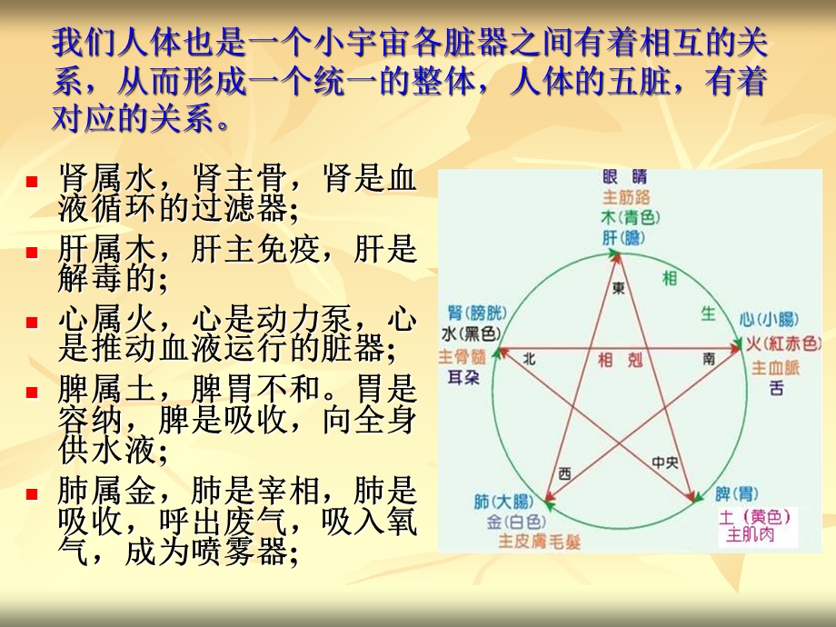 中医颜面望诊精选文档.ppt_第2页