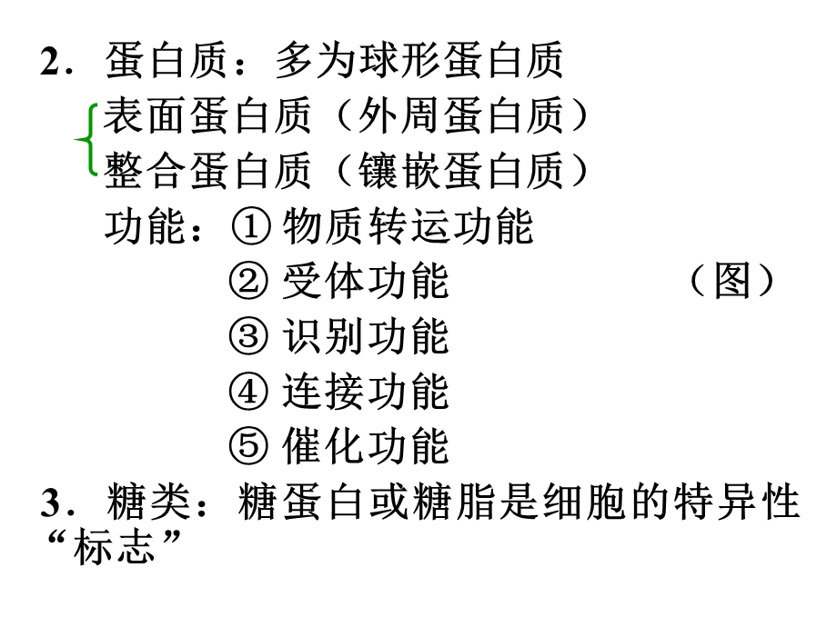 南农 生理学 01章细胞生理PPT文档.ppt_第3页