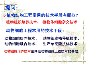 最新2.21动物细胞培养和核移植技术PPT文档文档资料.ppt