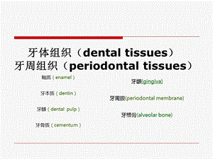 口腔组织生理学概要ver1.2ppt课件精选文档.ppt