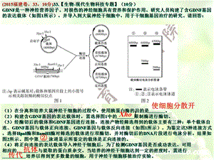 专题41 细胞工程精选文档.ppt