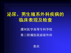 40泌尿、男生殖系外科疾病的临床表现及检查娄庆名师编辑PPT课件.ppt