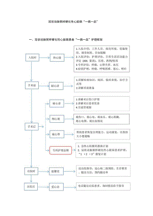 心脏外科冠状动脉粥样硬化性心脏病“一病一品”.docx