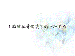 妇科手术合并膀胱造瘘术后护理精选文档.ppt