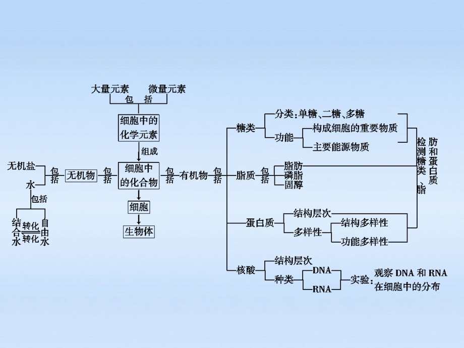 最新高中生物第一轮复习组成细胞的分子课件PPT文档文档资料.ppt_第1页