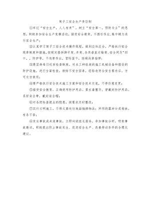 架子工安全生产责任制.docx