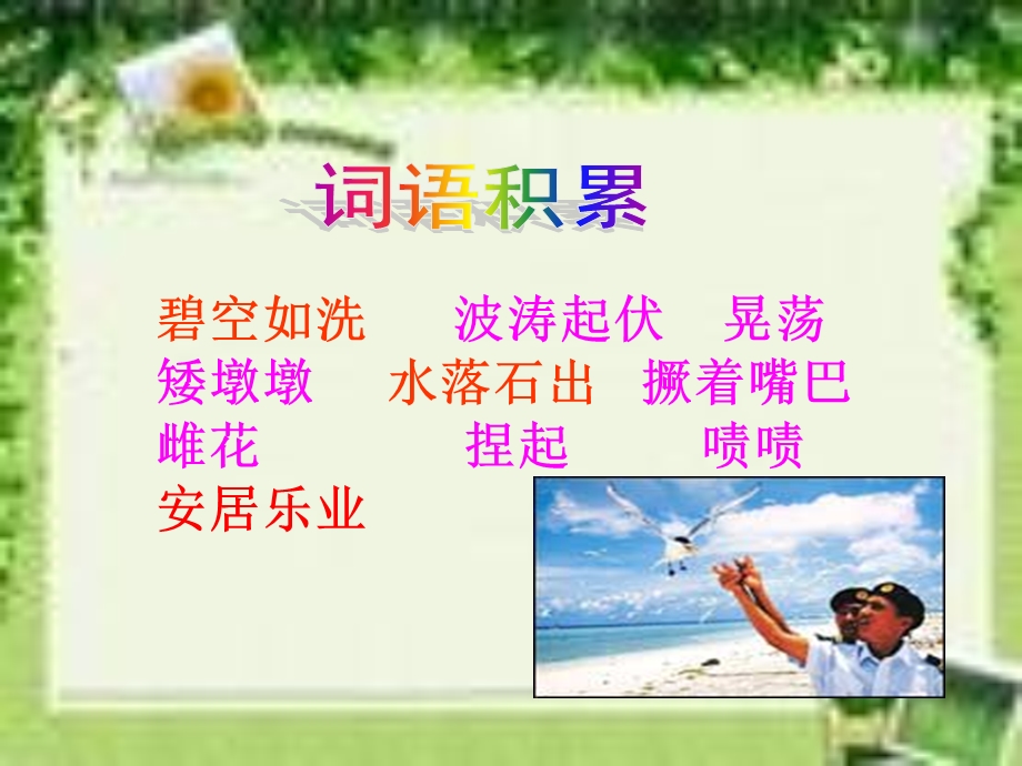 彩色的翅膀课件.ppt.ppt_第2页