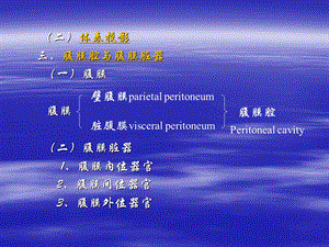 局部解剖学第四章腹部文档资料.ppt