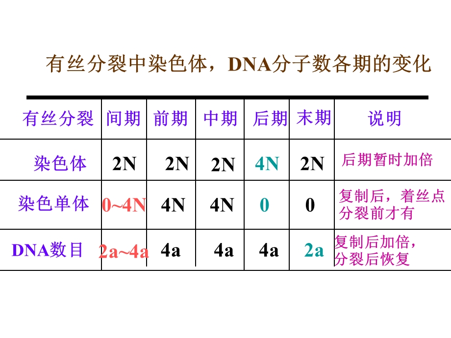 减数分裂与有性生殖细胞的形成ppt课件精选文档.ppt_第3页