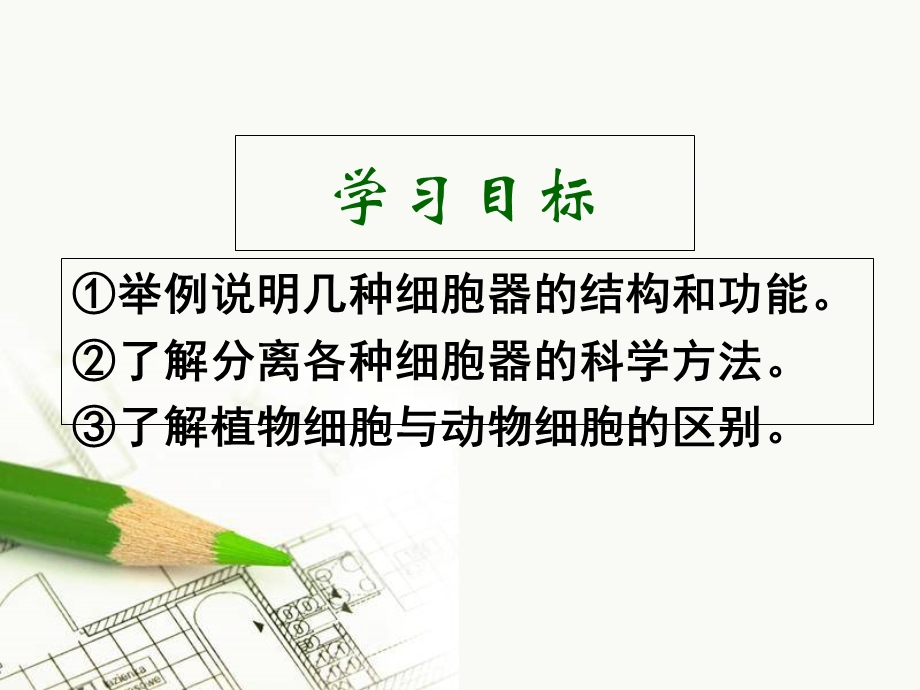 32细胞器—系统内的分工合作1文档资料.ppt_第3页