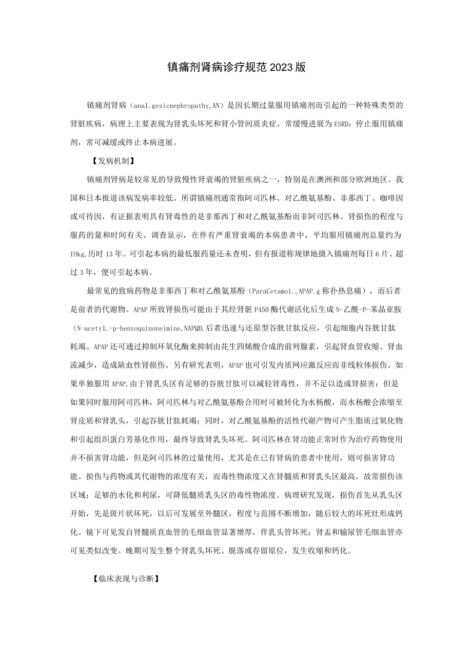 肾病科镇痛剂肾病诊疗规范2023版.docx_第1页