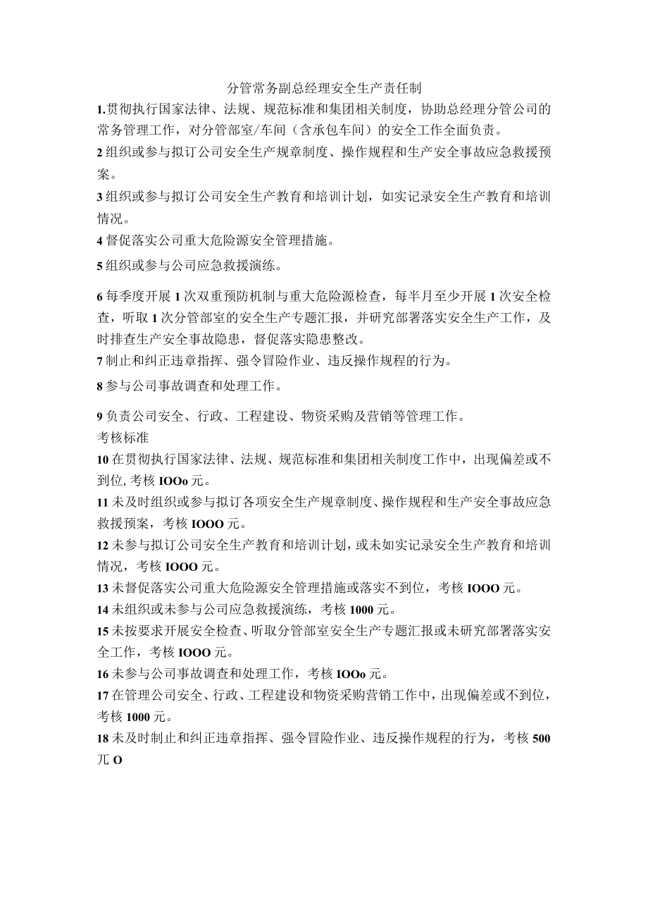 分管常务副总经理安全生产责任制.docx_第1页