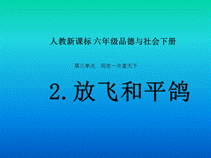 人教新课标品德与社会六年级下册《放飞和平鸽》PPT课件.ppt