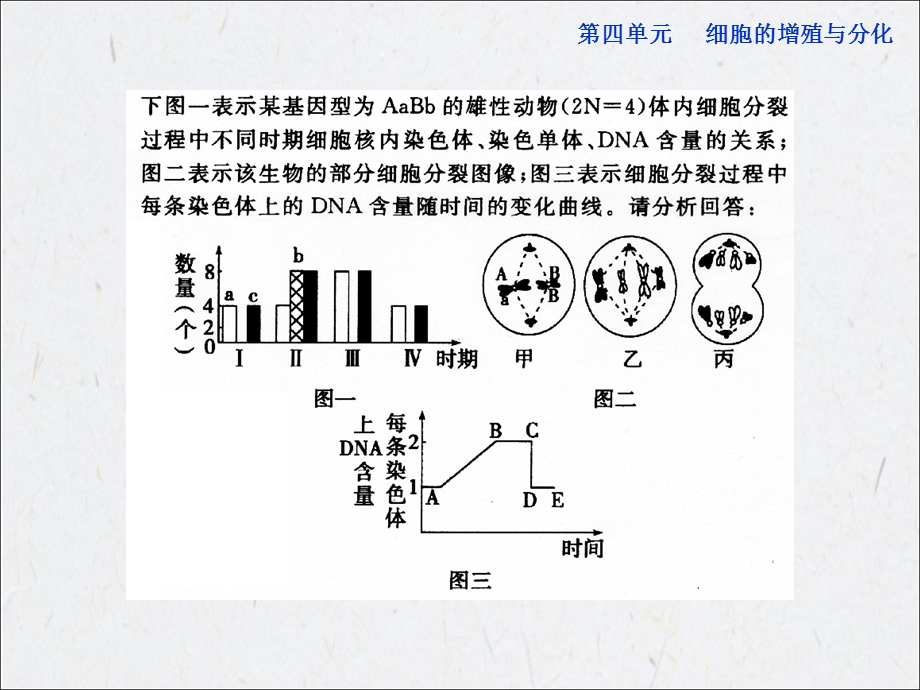 高考导航生物复习课件第四单元细胞的增值和分化单元综合提升精选文档.ppt_第2页