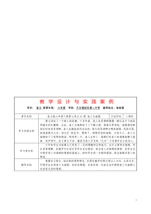 21、老人与海鸥教学设计与实践案例教学文档.doc