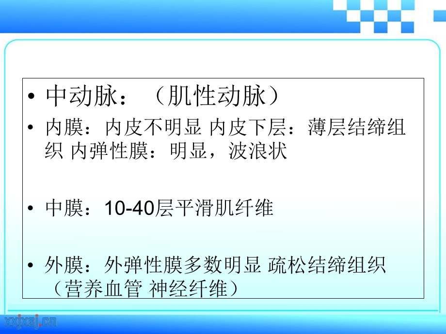 主动脉壁结构PPT课件文档资料.ppt_第3页