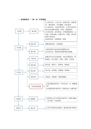 胸外科食管癌”一病一品“.docx