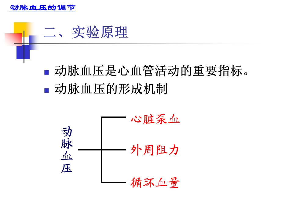 1动脉血压的调节1文档资料.ppt_第2页