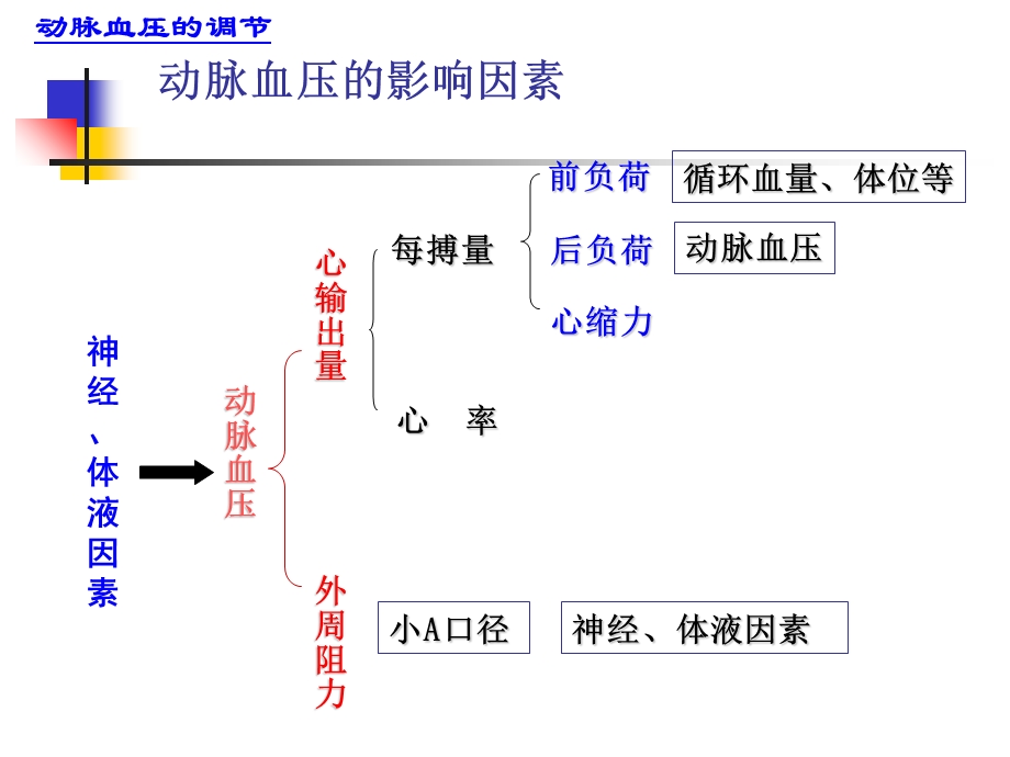 1动脉血压的调节1文档资料.ppt_第3页