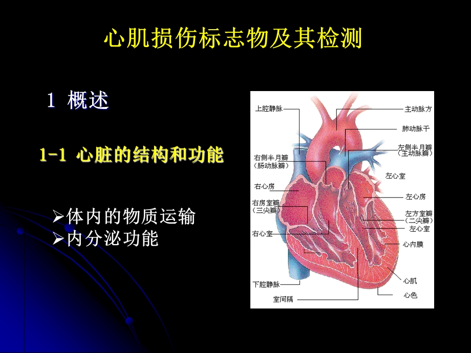 41819心脏损伤标志物与肾脏病常用的实验室检查PPT文档资料.ppt_第1页