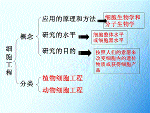 211植物细胞工程的基本技术文档资料.ppt