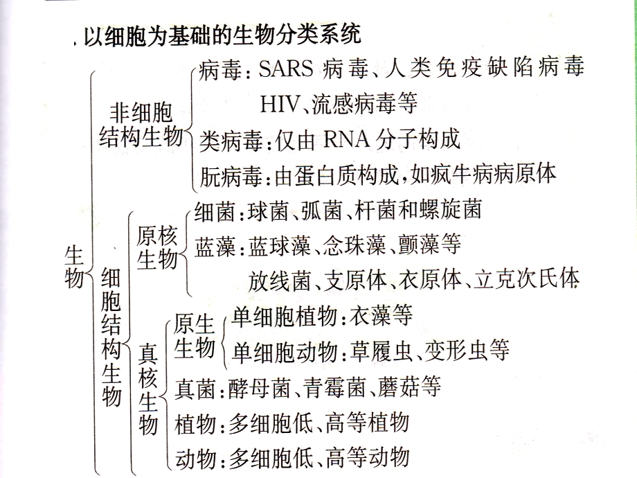 二轮细胞的物质基础文档资料.ppt_第1页