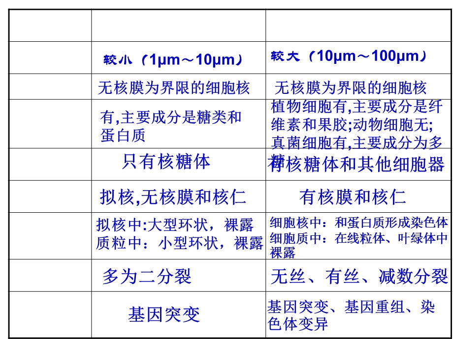 二轮细胞的物质基础文档资料.ppt_第2页