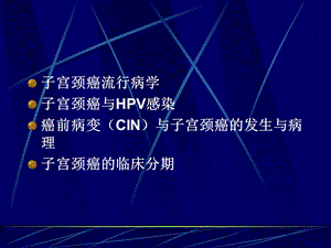 CIN与宫颈癌文档资料.ppt