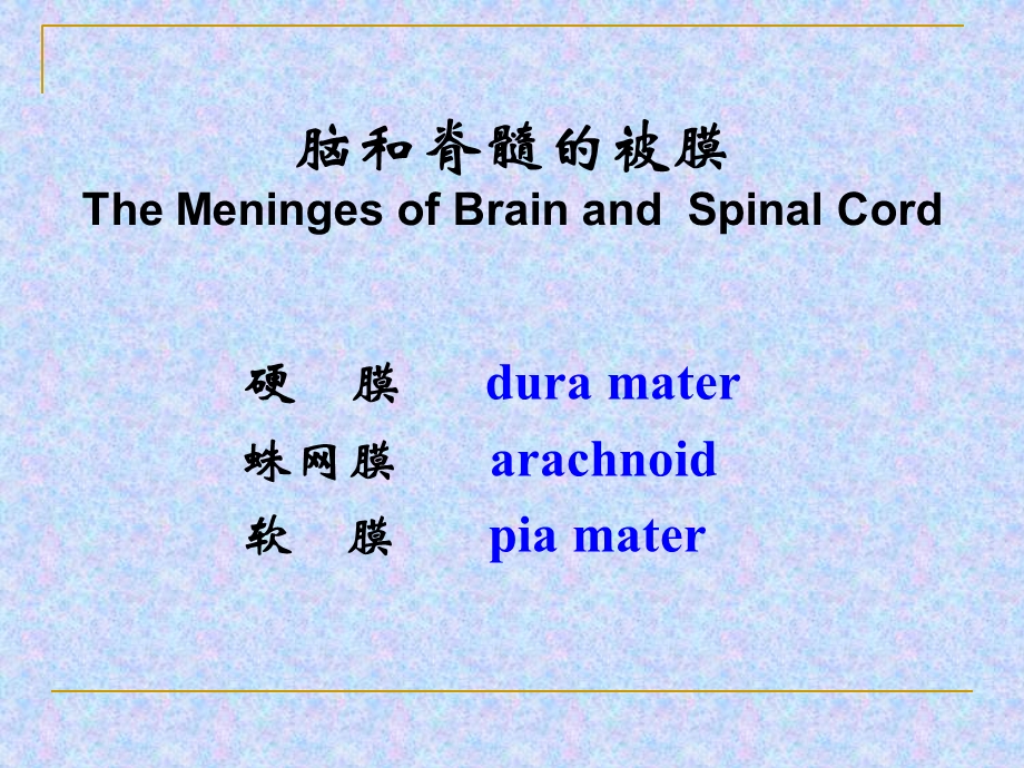 18脑和脊髓的被膜血管PPT课件.ppt_第1页