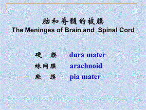 18脑和脊髓的被膜血管PPT课件.ppt