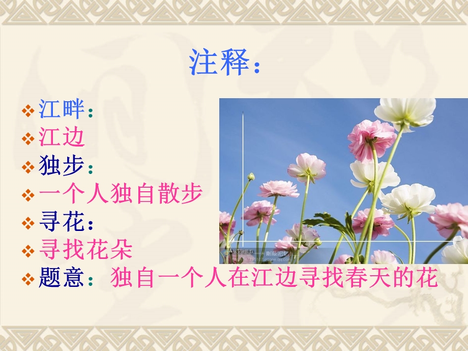 江畔独步寻花课件.ppt_第2页