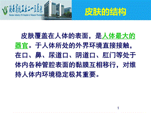 危重病人皮肤管理ppt课件PPT文档.ppt