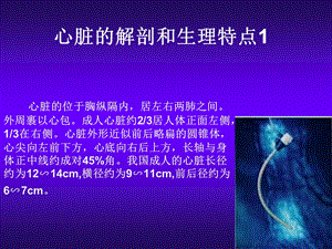 心脏超声讲义名师编辑PPT课件.ppt