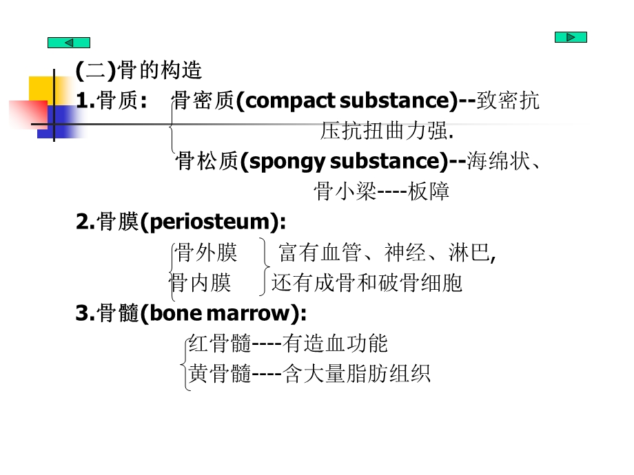 全身骨解剖PPT文档.ppt_第3页