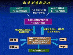 合理应用抗生素课件文档资料.ppt